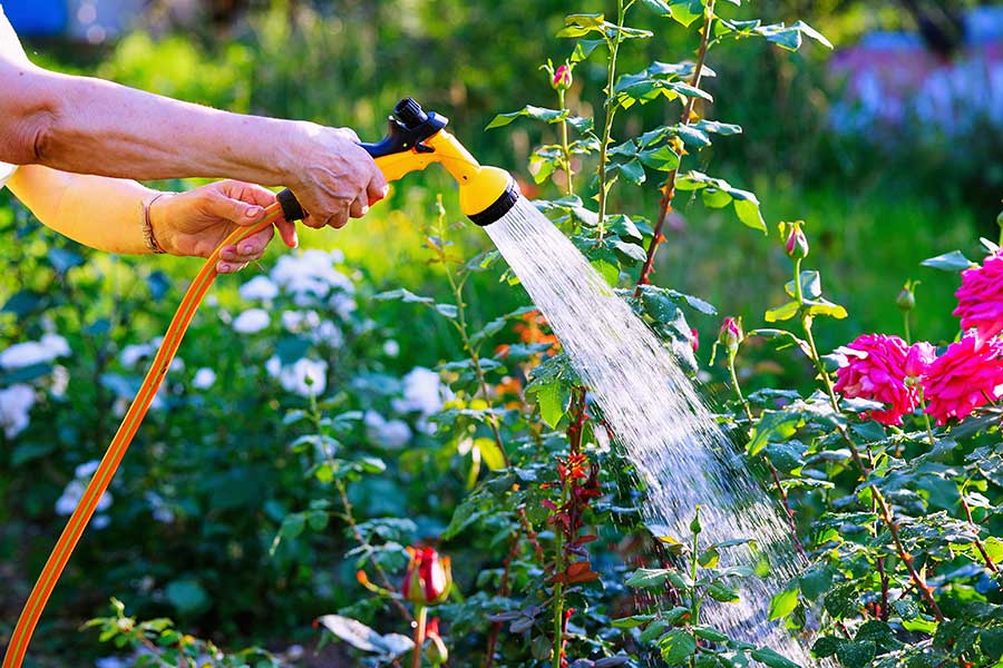 Watering the garden with a hose and gun